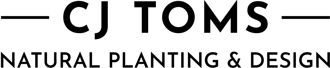 CJ-TOMS-Logo